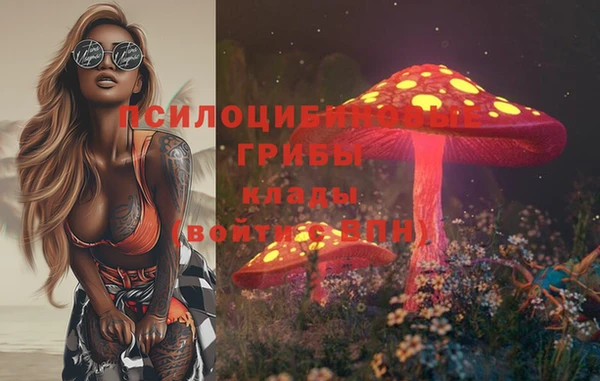 тгк Надым